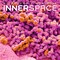BrownTrout; Microscopic World of Innerspace | 2027 12 x 24 Inch (Hanging) Monthly Square Wall Calendar | Plastic-Free; Category:Wall Calendars; Image:2